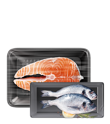 Fish  & Seafood